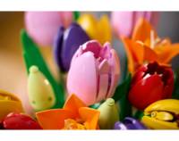 Ramo de Tulipanes - Lego